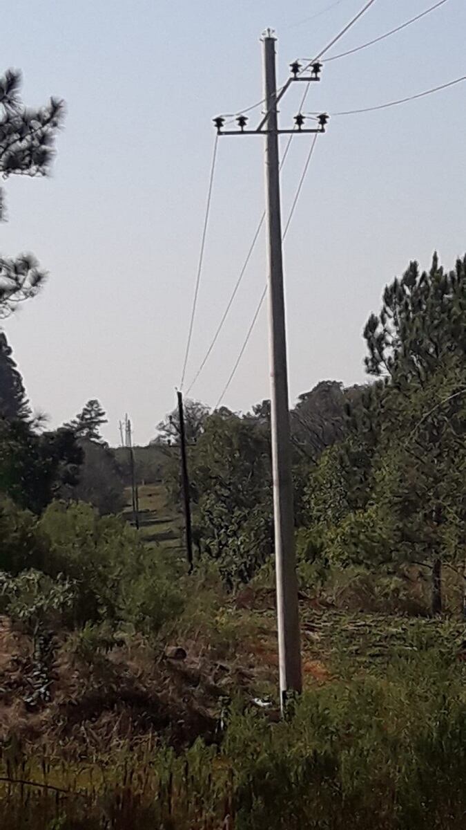 Obras eléctricas se llevan adelante en la localidad de San Pedro.