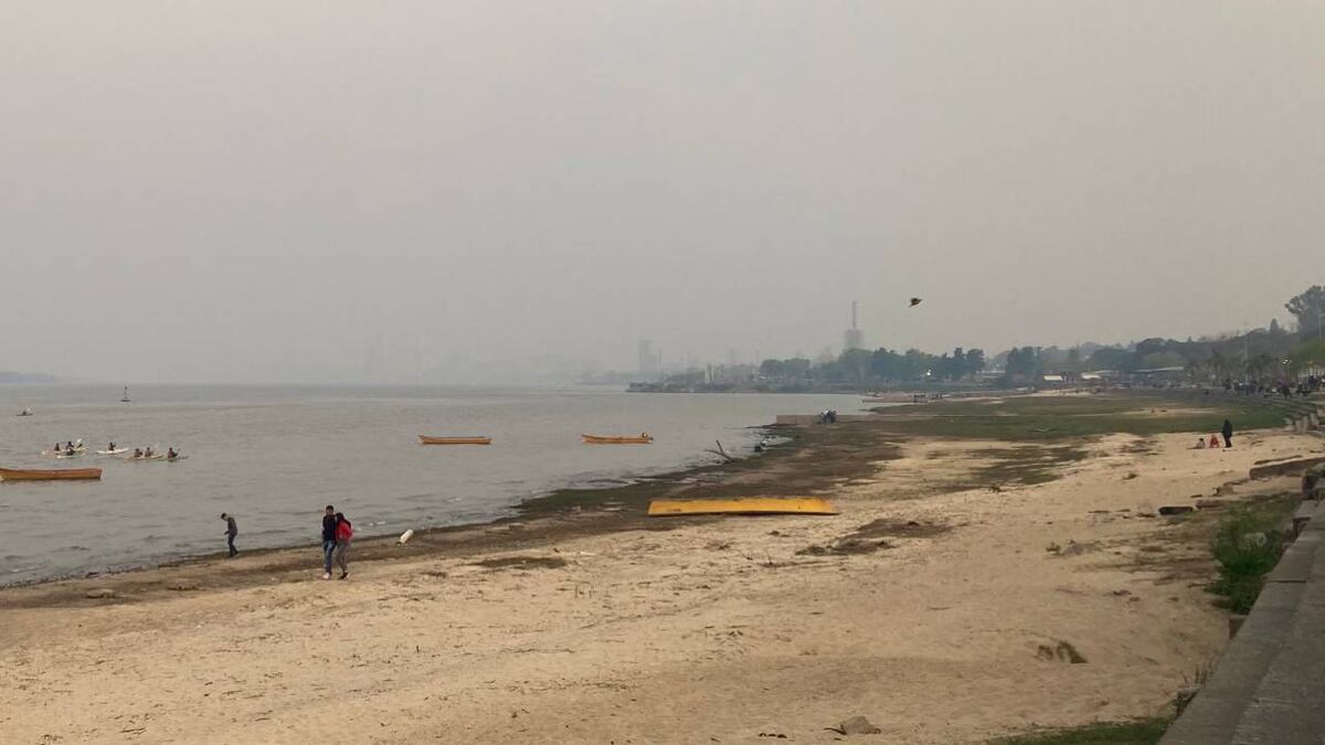 El humo invadió Rosario mientras se amplía el operativo contra los incendios