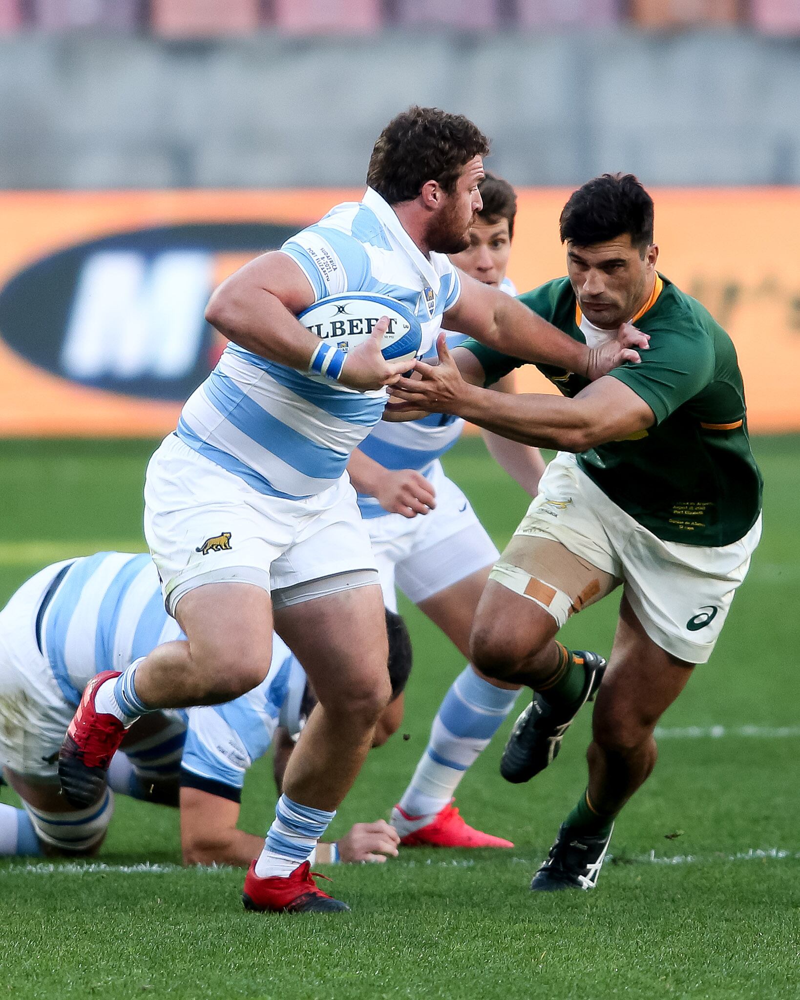 Rugby Championship: Los Pumas en su segundo encuentro con los Springboks