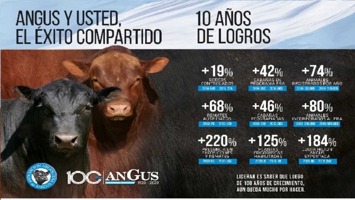 Angus en un gran momento de su historia institucional sigue para adelante