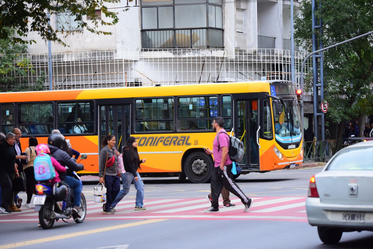 Cómo funcionan los servicios en Córdoba por el Día del Empleado Municipal
