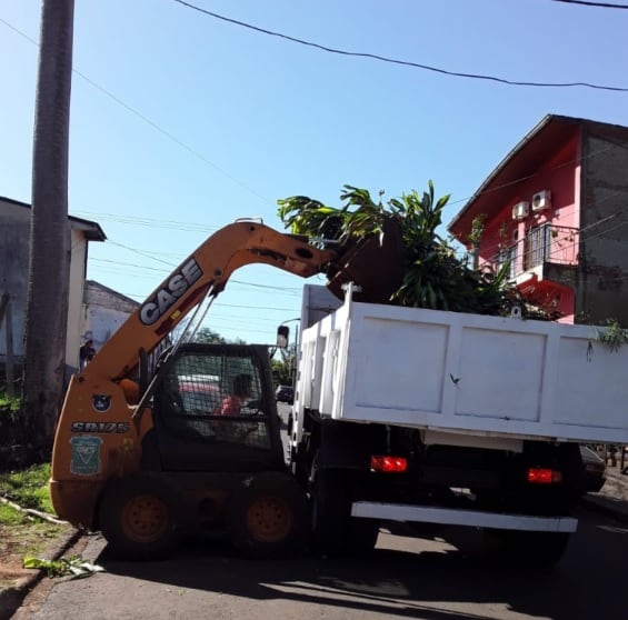 Puerto Iguazú: realizaron trabajos de poda y recolección.