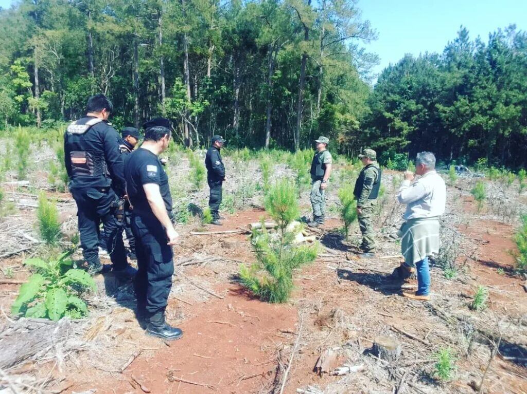 Secuestran cargamento de marihuana en Puerto Iguazú.