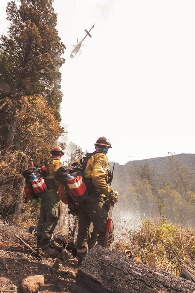 Los bomberos voluntarios, la Municipalidad de El Bolsón y otras áreas lograron que el incendio sea contenido.