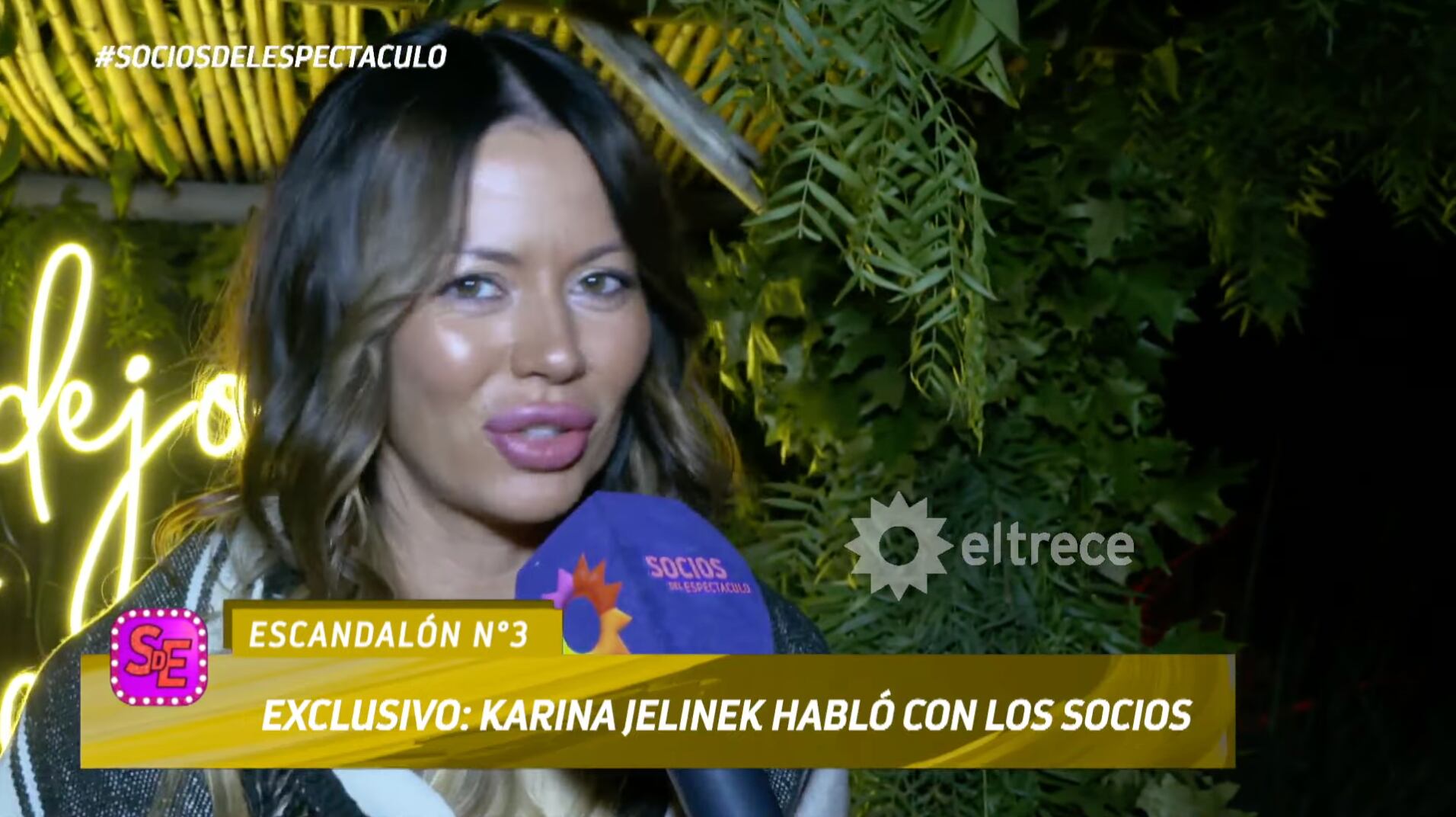 Karina Jelinek en Socios del Espectáculo habló de su bebé.