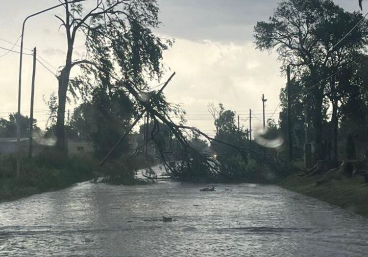 Córdoba. Río Cuarto, tras el paso de la tormenta este jueves 12 de diciembre. (Gobierno de Córdoba)