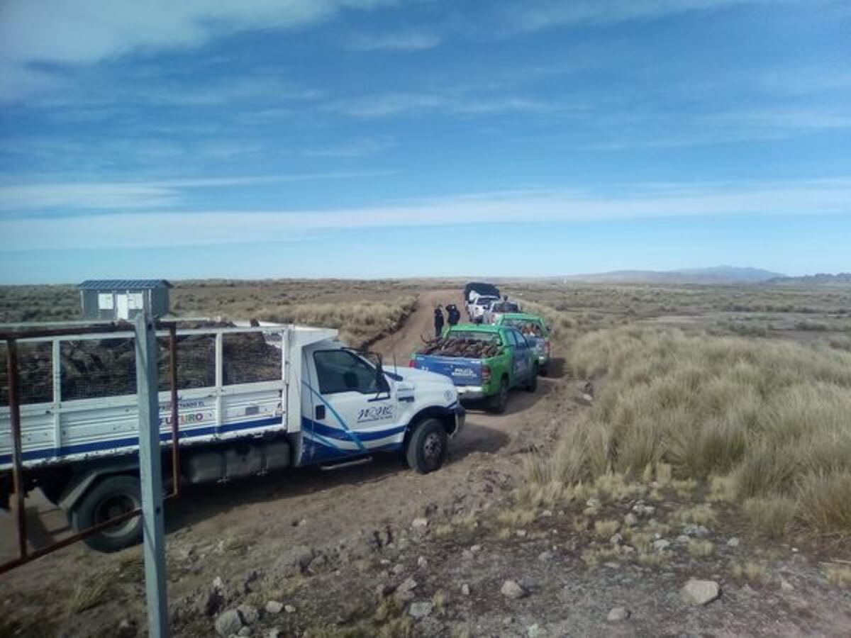 Entrega de leña a familias de Pampa de Achala
