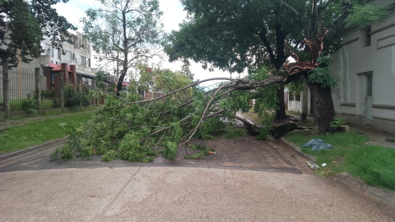 Temporal Gualeguaychú