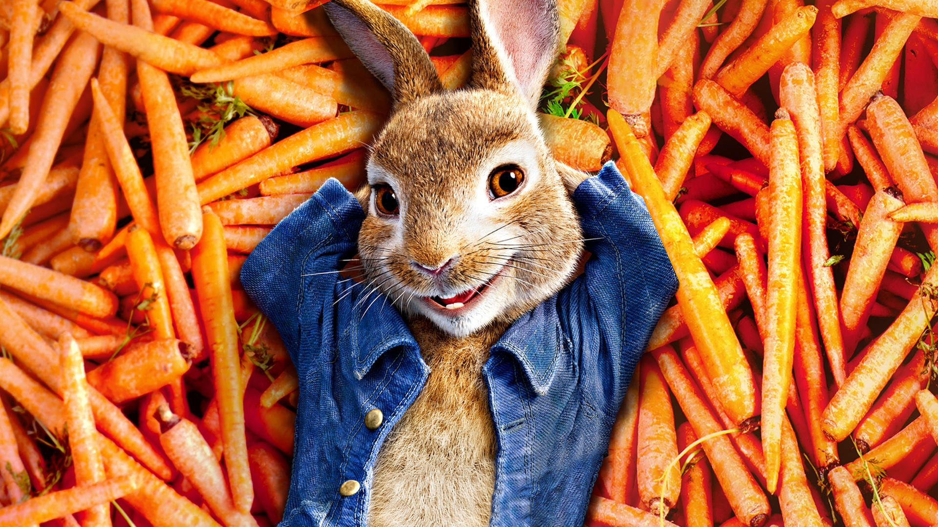 Las aventuras de Peter Rabbit