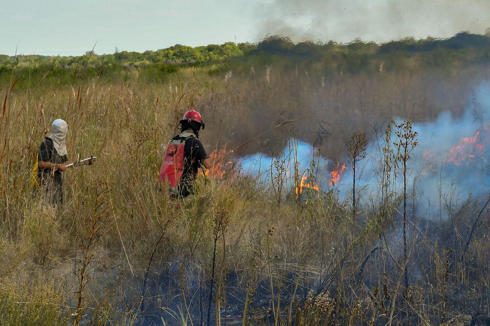 El fuego ha sido controlado en su mayoría, salvo en Caa Catí.