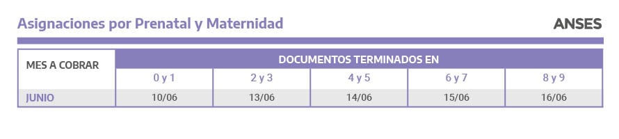 Calendario de pagos ANSES de junio