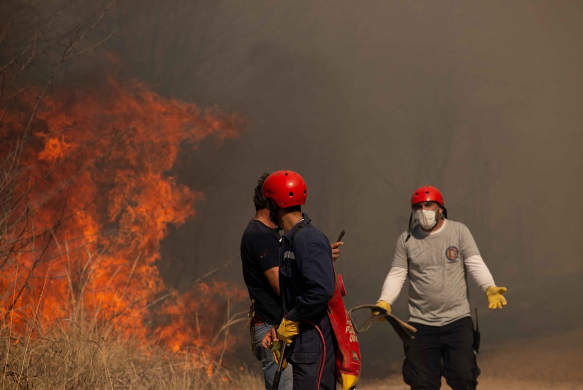 Fuego en las sierras de Córdoba: sólo dos condenas en los últimos cinco años