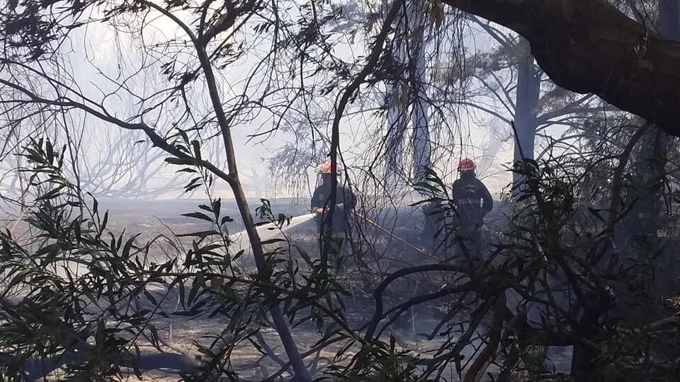 Un incendio fue controlado por los bomberos en el ingreso a Claromecó (foto: facebook/ Billy Wilson)