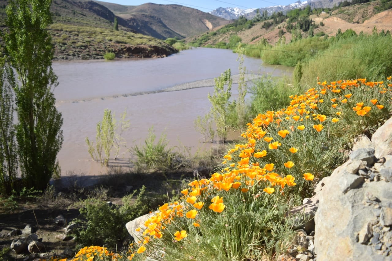 Neuquén se nutre del turismo, y entre sus ciudades más elegidas está Villa La Angostura.