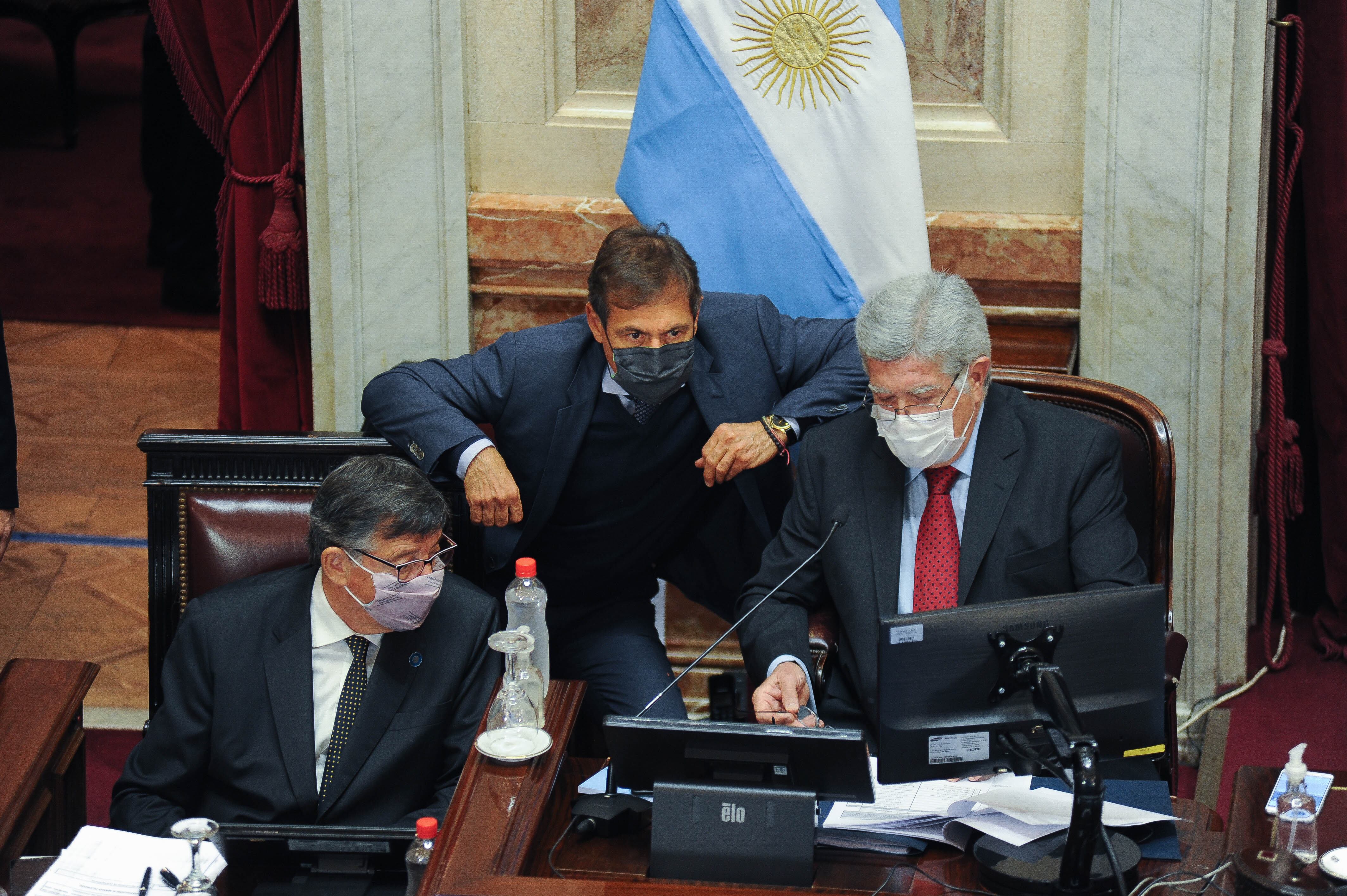 Anabel Fernandez Sagasti de Mendoza en el Senado . Argentina Foto Federico Lopez Claro