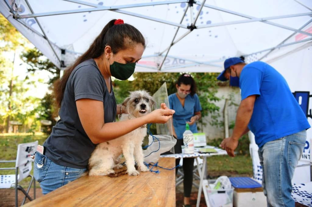 Se brindo atención veterinaria