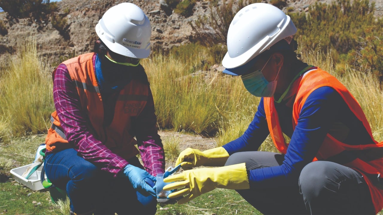 Mediante el programa de saneamiento ambiental, se contribuye a la preservación realizando un relevamiento y saneamiento ambiental de sectores en donde se identifique fuentes y acumulación de residuos dispersos.