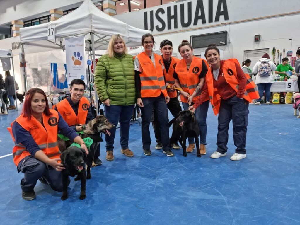 Expo Feria por el Día del Animal - Voluntariado Social de Zoonosis.