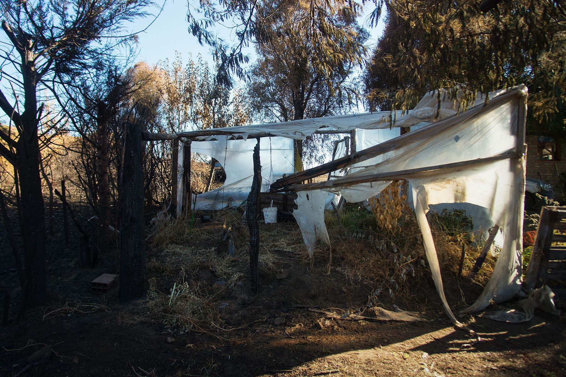 El relato de las familias que reconstruyen sus vidas después del incendio en la Comarca Andina. Foto Marcelo Martinez.