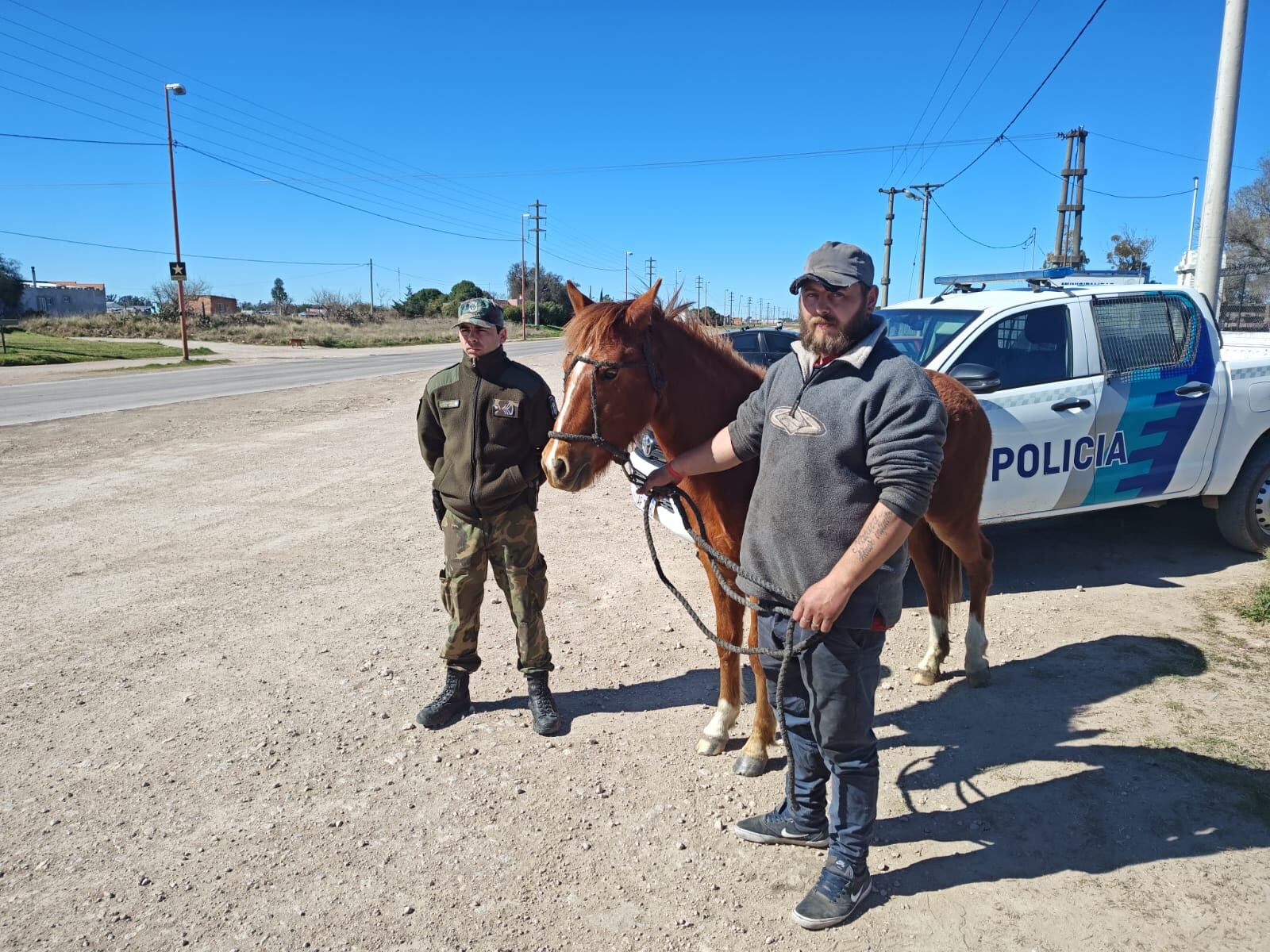 CPR de Tres Arroyos halla potranca extraviada