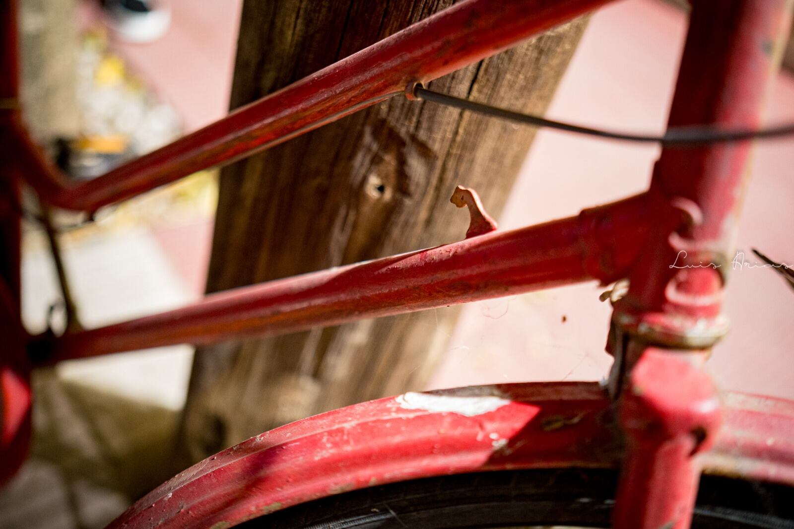 La Olvidada la historia de la bicicleta roja de Arroyito