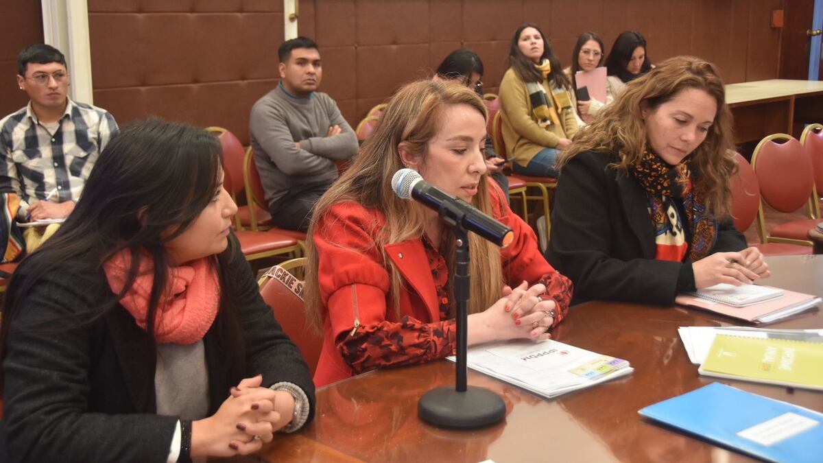 Perspectiva de género: recomendación de la Defensoría del Pueblo de Jujuy a legisladores