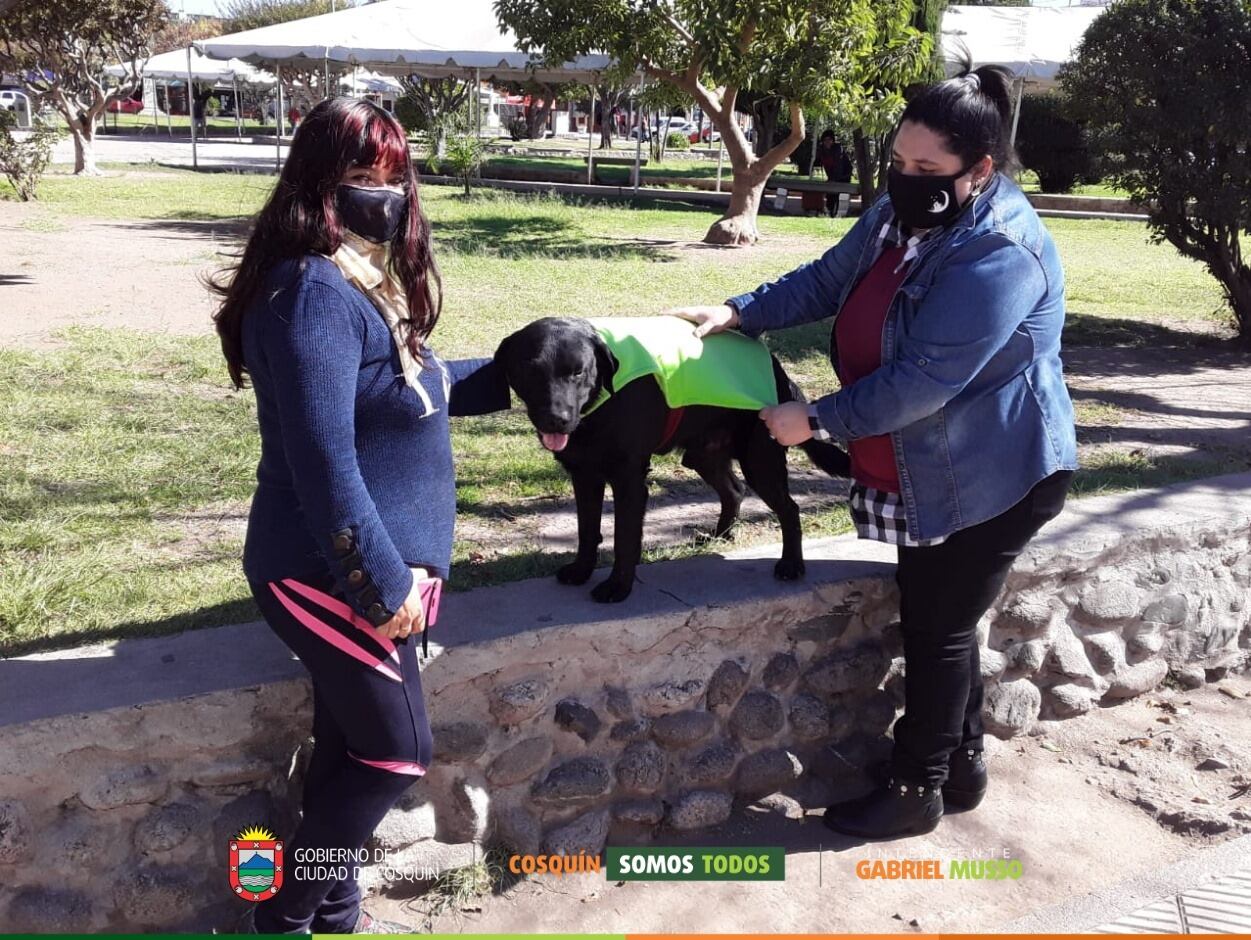 Cosquín pone en marcha la “Campaña Ponchitos”, para abrigar a los anima les en situación de calle este invierno.