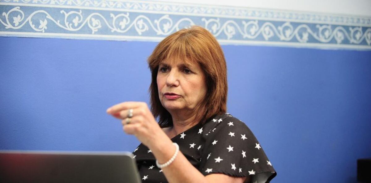 Patricia Bullrich le respondió a Wado De Pedro: “Devolvé la plata, las vacunas y la dignidad”