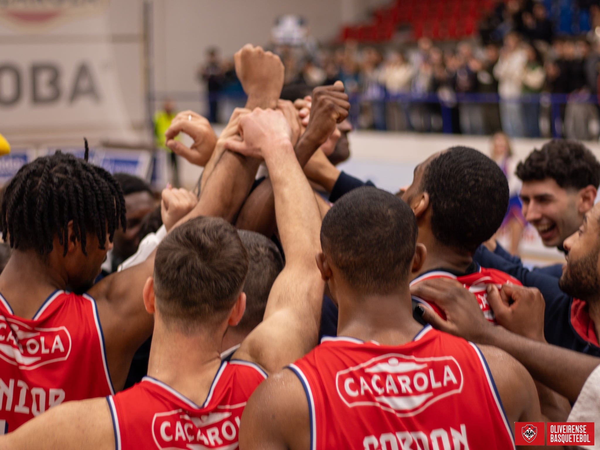 Pablo Bertone Oliveirense Liga Portuguesa