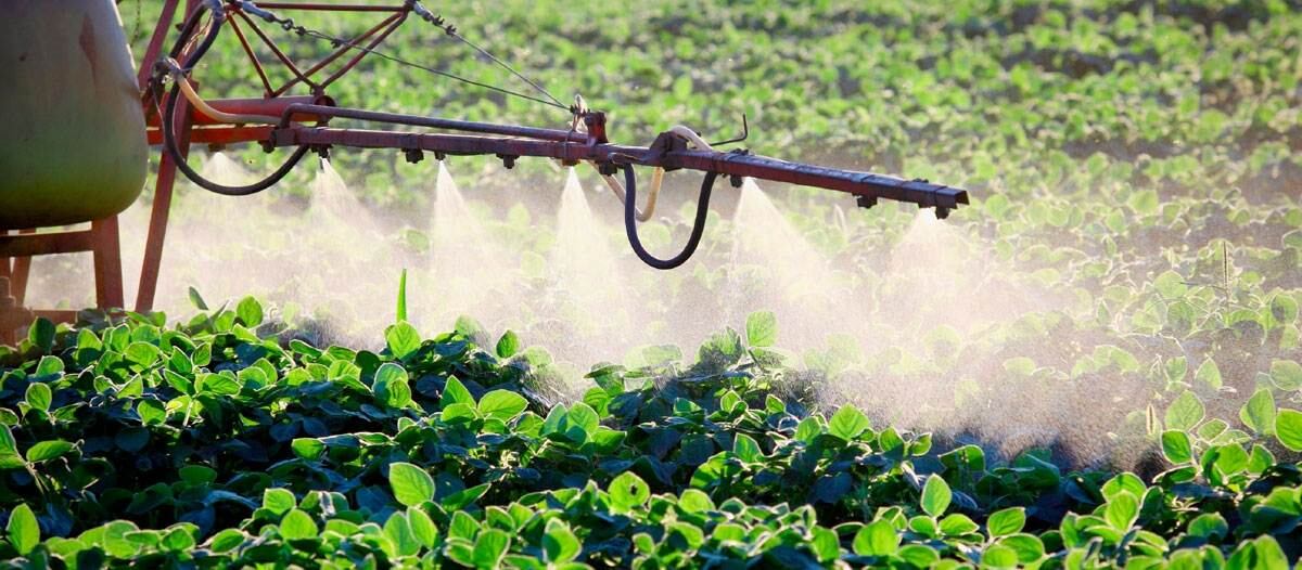 Campo en Tandil: cuál es la situación del uso de fitosanitarios