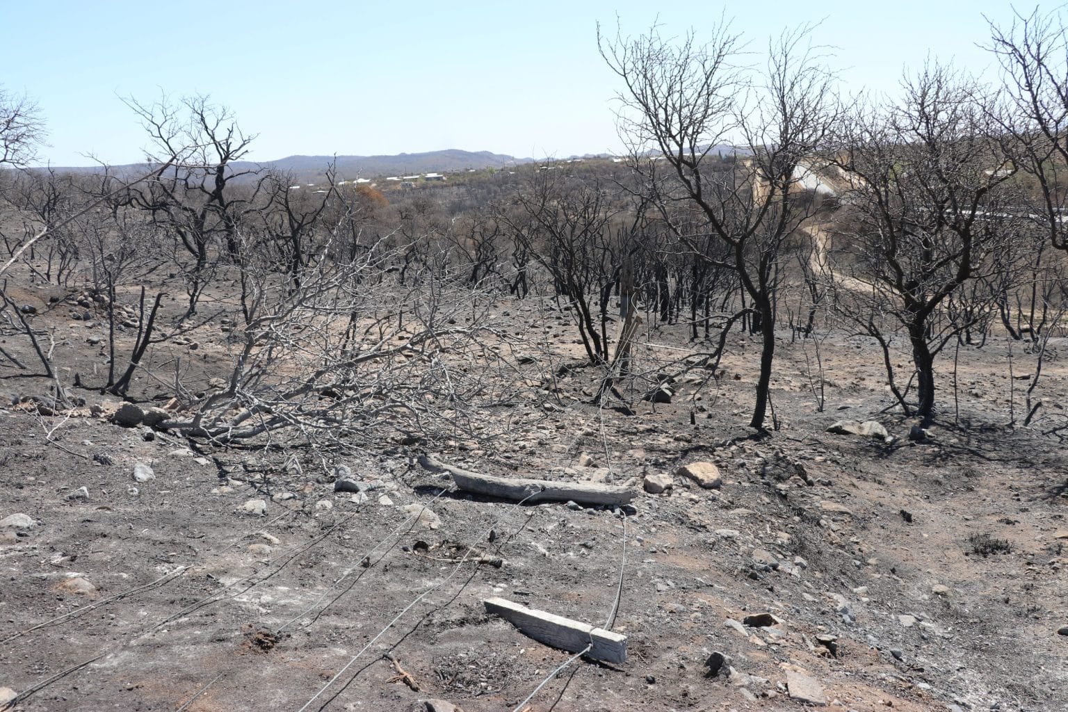 Incendios. Suelos quemados. Hay pautas para una correcta actuación que no le provoque daños aun mayores.