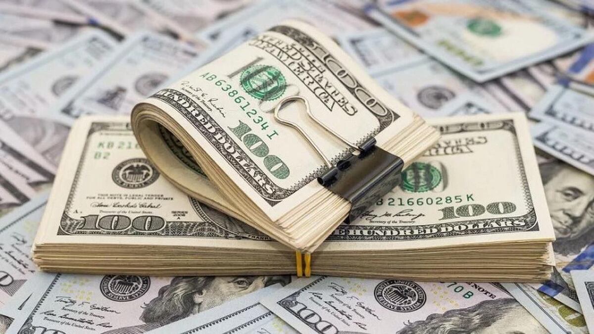 Dólares: dónde no se recomienda guardar los billetes en casa