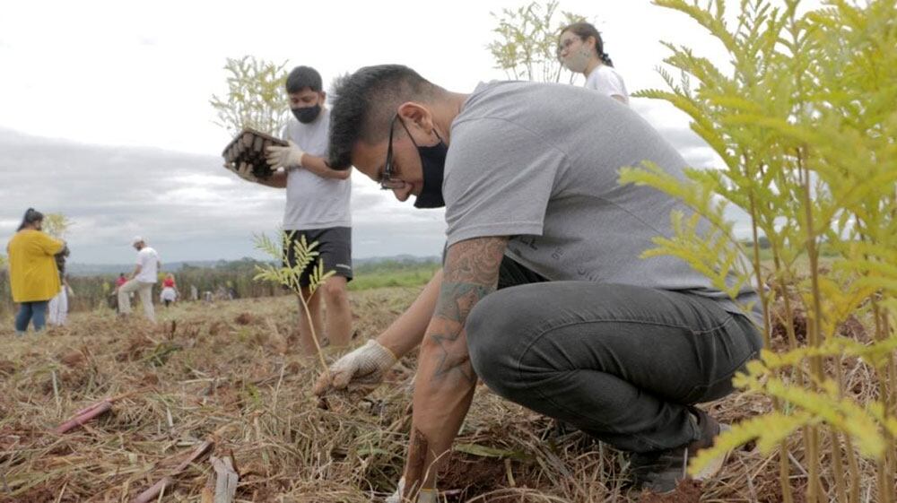 Jornada de plantación de árboles en las márgenes del arroyo Helena en Eldorado.