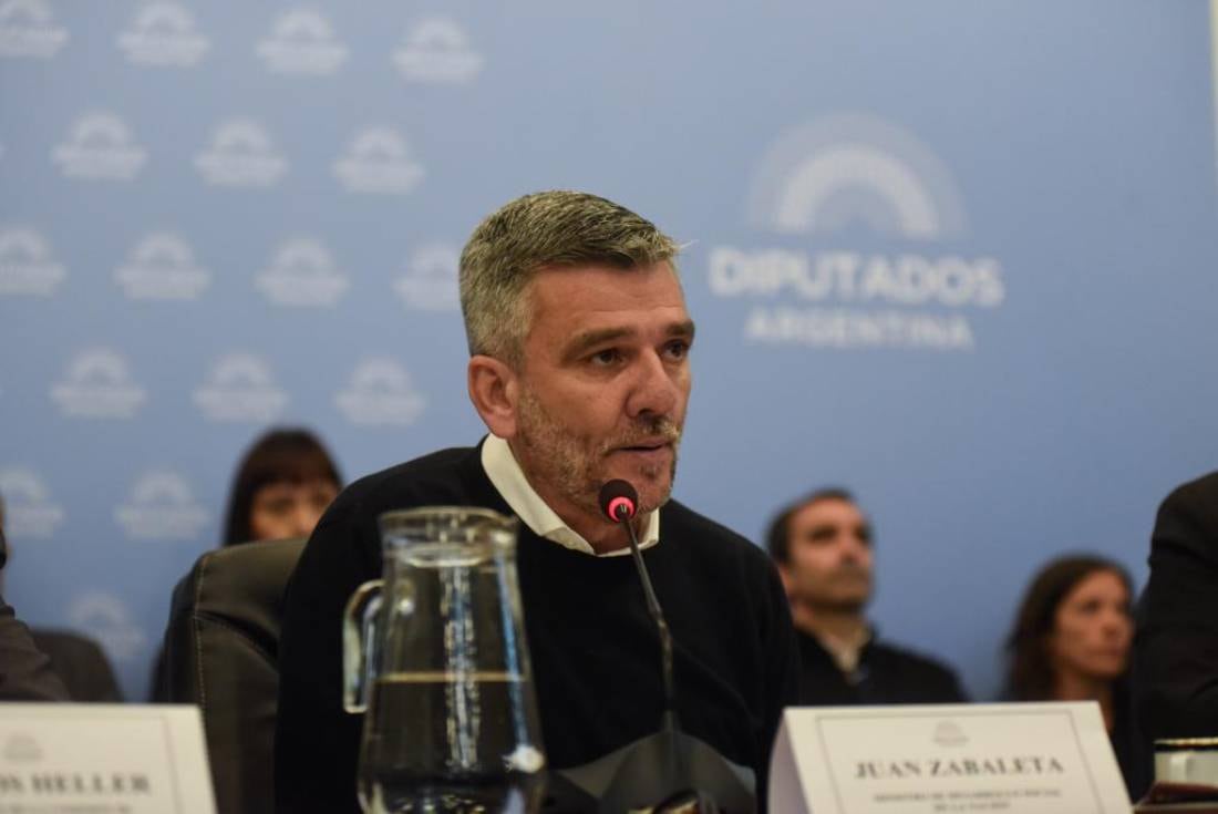 Zabaleta renunció a Desarrollo Social (Foto: HCDN)