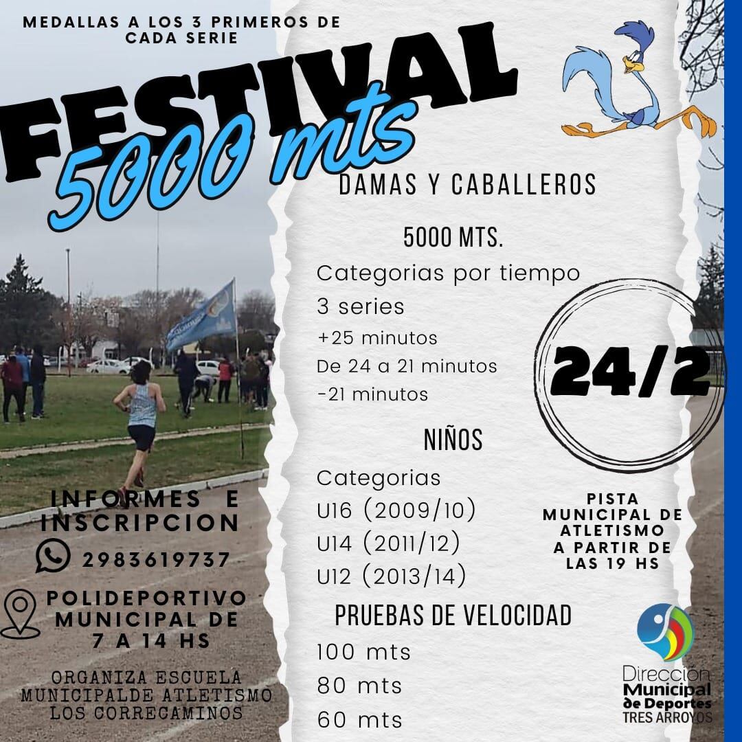 Festival de Atletismo