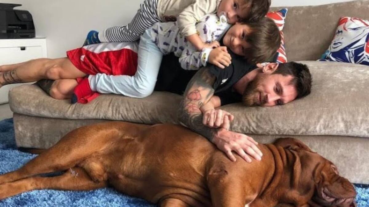 Lionel Messi, Antonela Roccuzzo y sus hijos se reencontraron con Hulk y Abú
