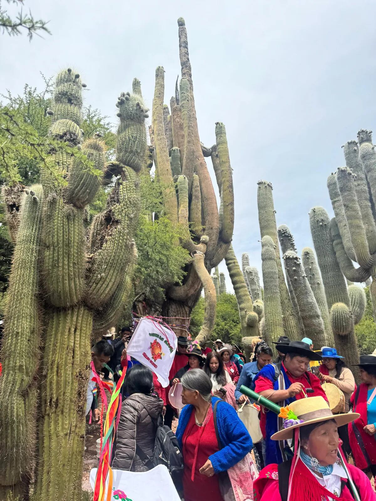 Con su festejo anual, las comunidades rinden tributo a la Abuela Cardón, en Hornaditas, al norte del departamento Humahuaca.