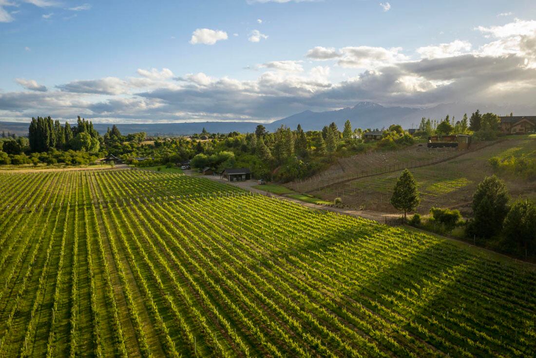 Bodega Contra Corriente, de Trevelin.