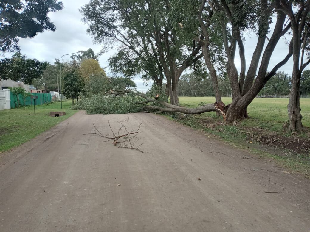 Los fuertes vientos trajeron complicaciones en Rafaela