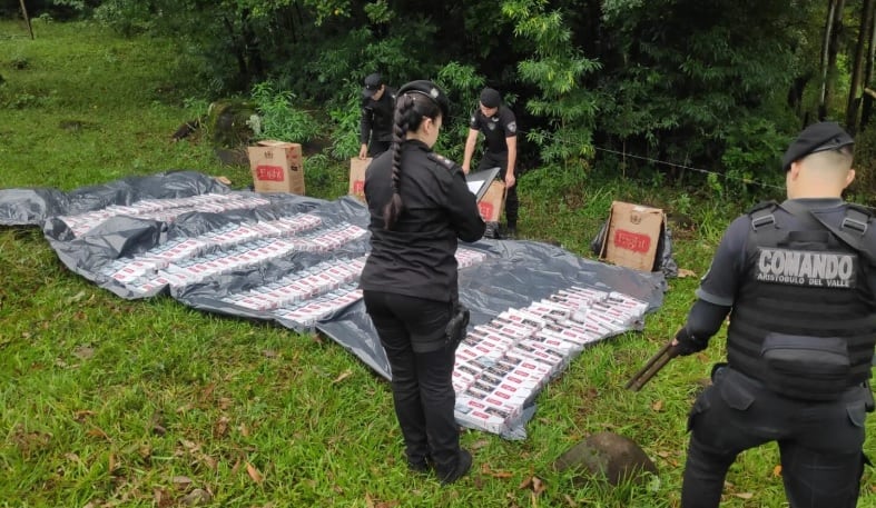 Incautan contrabando de cigarrillos en Aristóbulo del Valle.