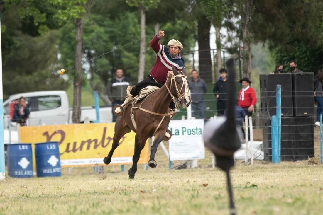 Festival de destrezas en la Fiesta de la Ganadería en Alvear.