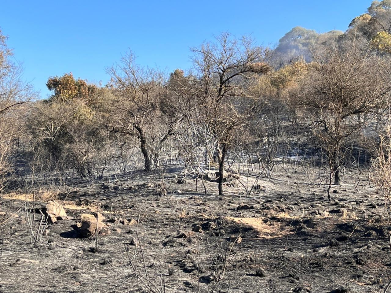 Incendio en la Variante Costa Azul