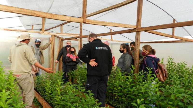 Capacitación a agricultores de Puerto Piray sobre sanidad e inocuidad vegetal.