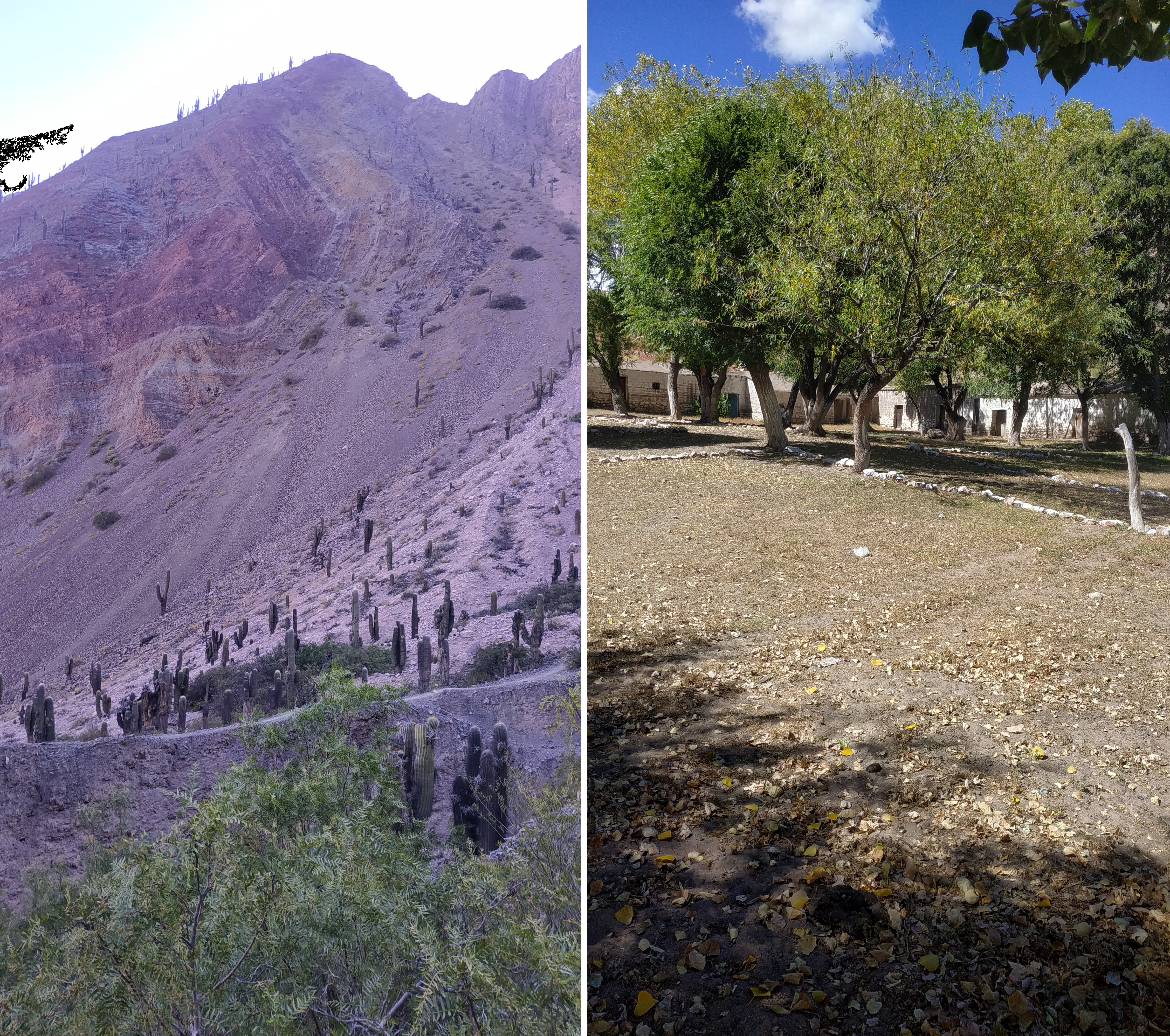 De la travesía por las montañas al reparador descanso bajo los árboles después de rezar en santuario, todo nutre la experiencia de fe de los peregrinos que ascienden a Punta Corral.