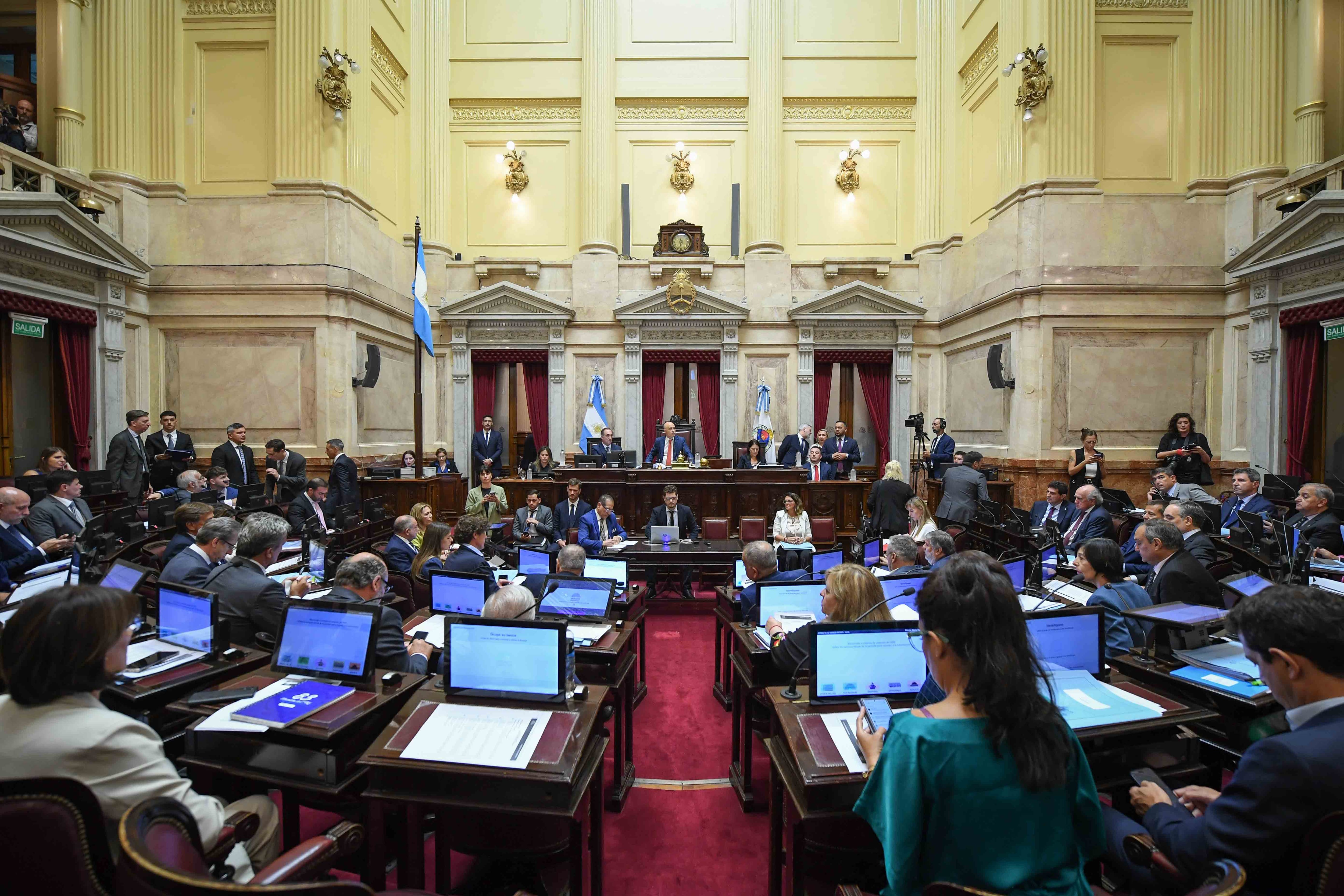 El Senado suspendió las Paso por amplia mayoría (Foto: Comunicación Senado)