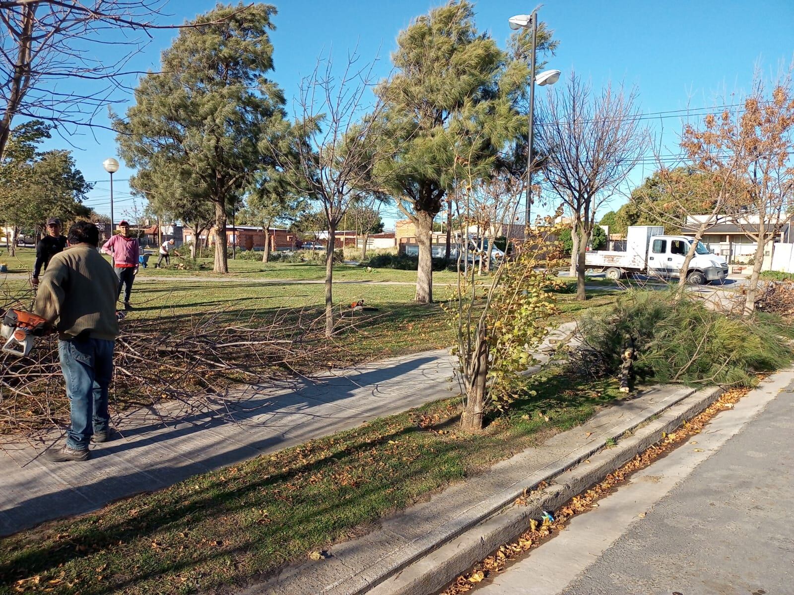 poda de árboles en  Plaza Francia y Plaza  Barrio Villa Italia