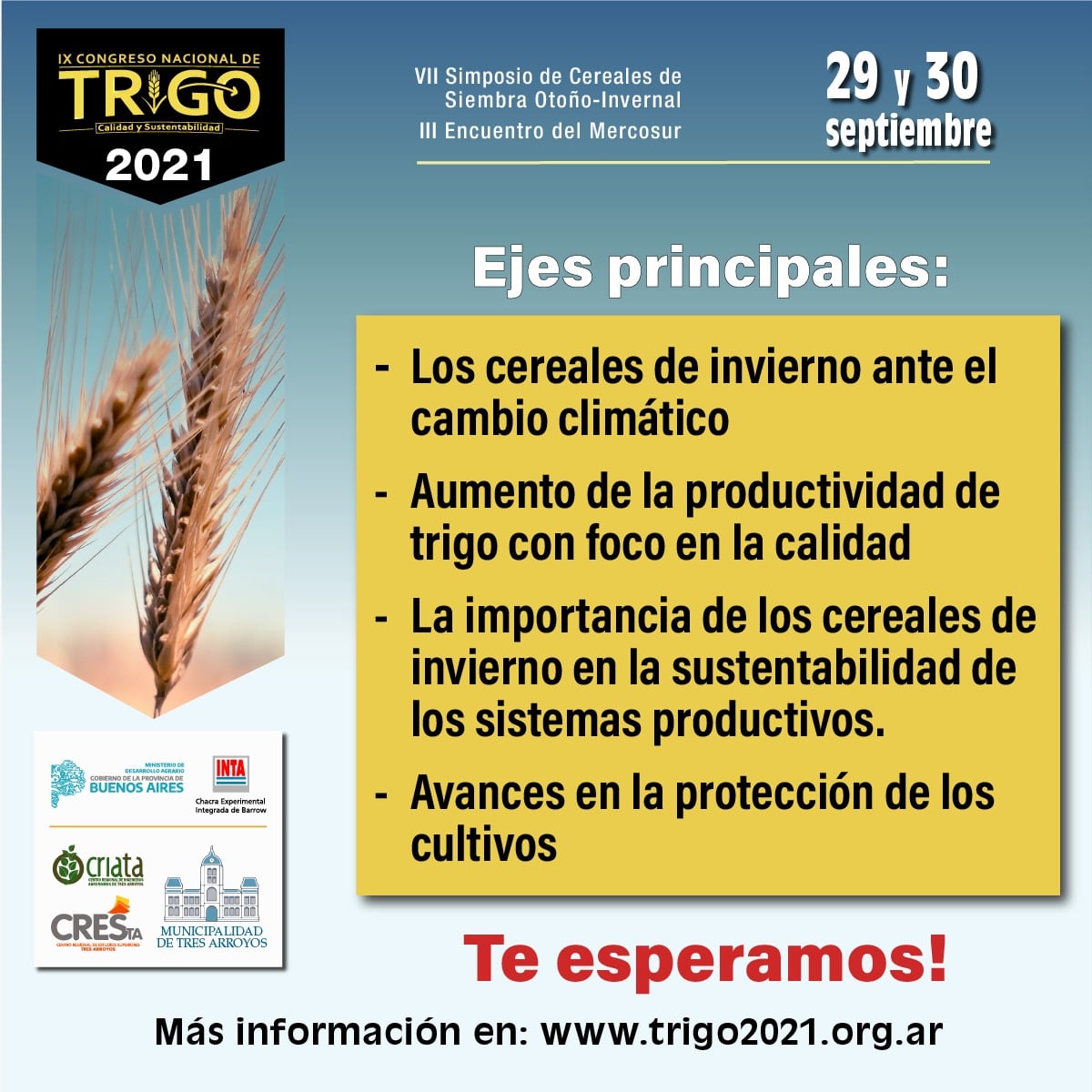 Tres Arroyos será sede virtual del Congreso Nacional de Trigo