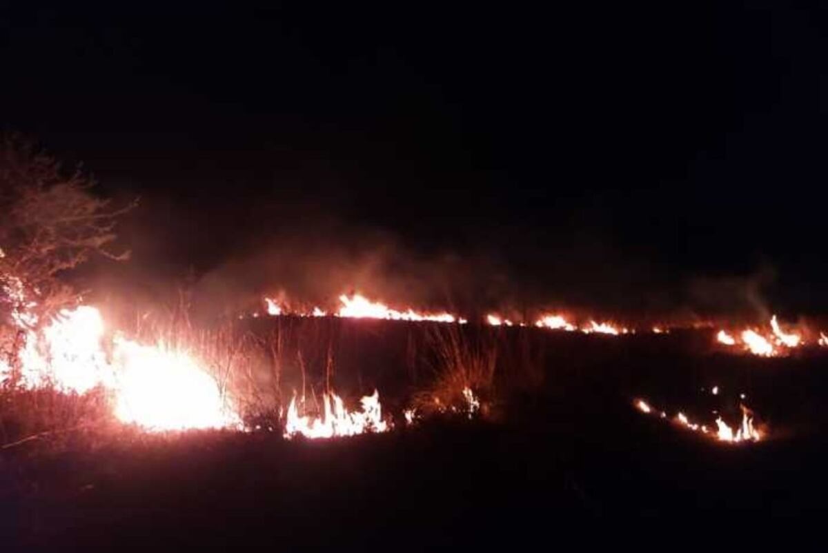 Bomberos controlan incendio de pastizales en Alta Gracia