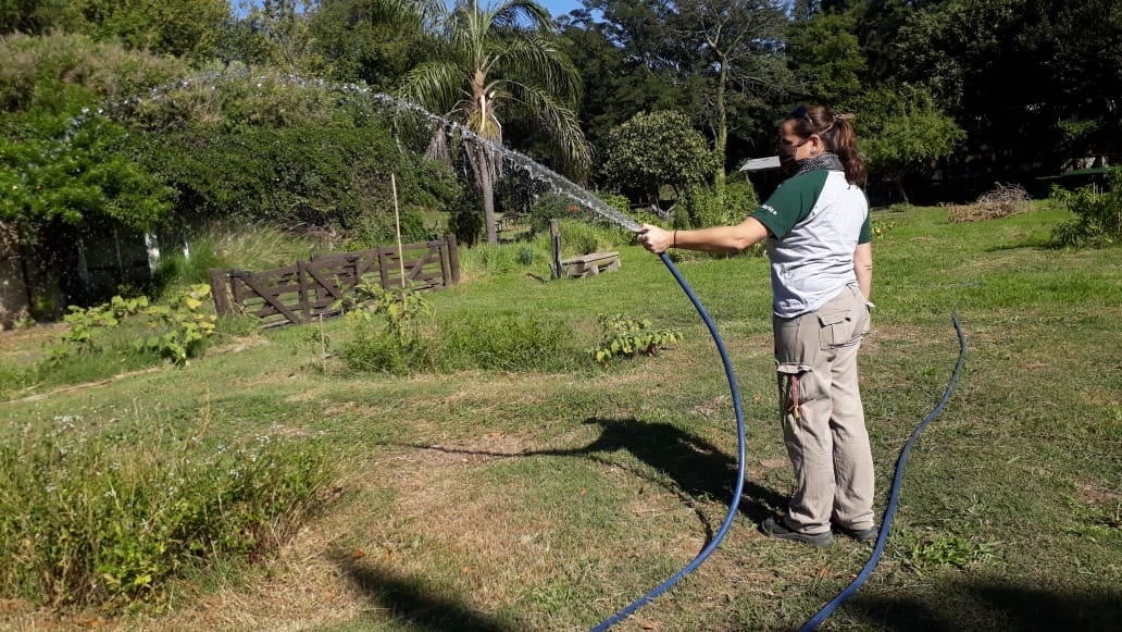 Granja de la Infancia de Rosario