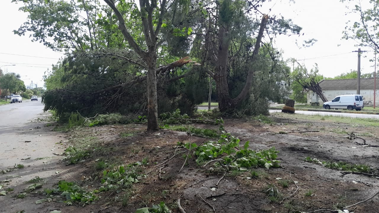 Temporal en Tres Arroyos